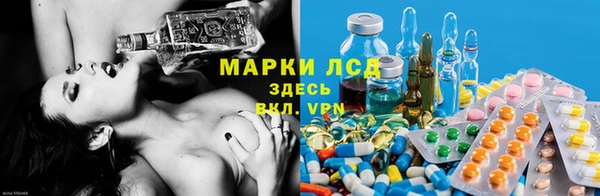 мяу мяу мука Гусев