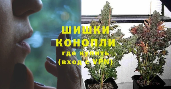 мяу мяу мука Гусев