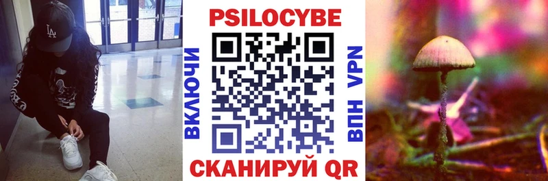 Купить закладки  Козельск  Галлюциногенные грибы Psilocybine cubensis 